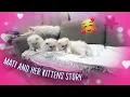 Lagu Mati and her kittens 35^:^