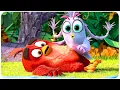 Download Lagu ANGRY BIRDS 2 Best Action Scenes 4K ᴴᴰ