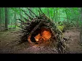 Download Lagu Building a Cozy Shelter deep in a Hollow. Bushcraft, Survival