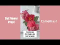 Download Lagu How to Prep Camellia Flowers as Cut Flowers! (#short) Shirley Bovshow