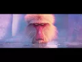 Storks-How you like me now- HD
