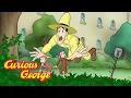 Download Lagu George Learns About Poisonous Plants 🐵 Curious George 🐵 Kids Cartoon