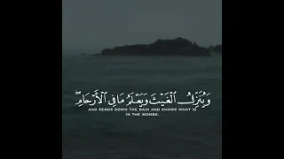 قران كريم بصوت جميل تك توك انستقرام حالات واتس اب 