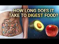 How Long Does it Take to Digest Food Health