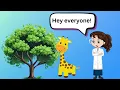 Photosynthesis and Cellular Respiration - Energy Cycle of Life
