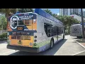 Miami Dade Transit 2020 New Flyer XN40 Xcelsior CNG On Route 120 Beach MAX Omni Bus Term