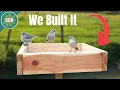 The Best Bird Feeder Nobody Uses DIY Platform Feeder