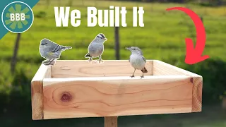 The Best Bird Feeder Nobody Uses DIY Platform Feeder