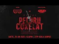 Download Lagu Konsert Pentas Peluru Cokelat (Barbarik)