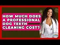How Much Does A Professional Dog Teeth Cleaning Cost - Ask A Pet Vet