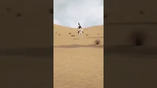 الإمام العباس عليه السلام 