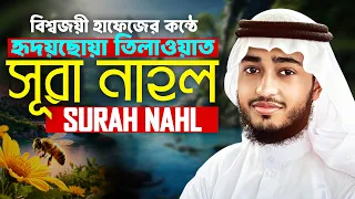 লাইভ🔴সূরা আন নহল মৌমাছি তিলাওয়াত হাফেজ ক্বারী আবু রায়হান Surah An Nahl سورة النحل Qari ABu Rayhan