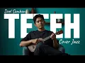 Lagu TETEH - DOEL SUMBANG || COVER JAZZ by. Echoverse Music