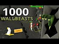 Loot From 1 000 Wall Beasts 35 Slayer