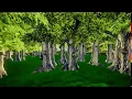 Unity 3D terrain after using post processing stack by unity