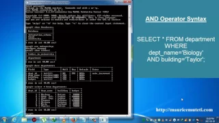 Structured Query Language Tutorial SQL Part 10 AND Operator Command Prompt Console