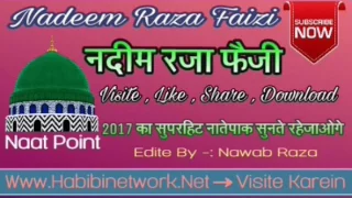 nadeem raza faizi 2017