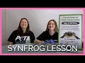 TeachKind SynFrog Lesson