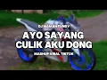 Lagu DJ AYO SAYANG CULIK AKU DONG SLOW VERSION MAMAN FVNDY VIRAL TIKTOK