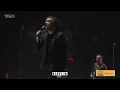 Enjambre - Madrugada [En Vivo Vive Latino 2026] / CEO LYRICS