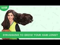 Download Lagu Sunsilk Long \u0026 Healthy Growth Shampoo- 6 sec