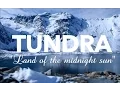 Tundra Biome Survivor Biome Project