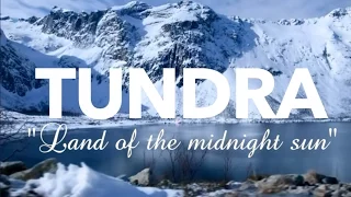 Tundra Biome Survivor Biome Project
