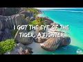 Katy Perry - Roar (Lyrics)