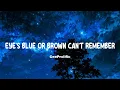 Lagu CeeProlific - Eye's Blue or Brown Can't Remember (Remix)