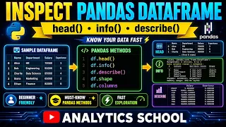 How to Inspect a Pandas DataFrame head info describe and More