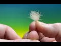 Download Lagu Snow shoe rabbit foot Prep with Barry Ord Clarke