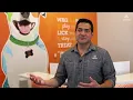 Small Business Spotlight Dogtopia City of Dublin CA