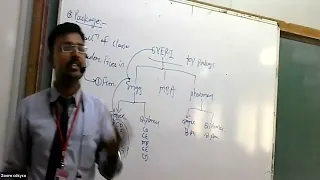 JPR L-38 Package introduction java API package Using system package