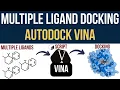 AutoDock Vina Multiple Ligand Docking in MINUTES Bash Script Guide