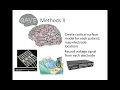 Innovative Neurotechnologies RAVE R Analysis and Visualization of Intracranial Encephalography