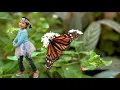 Flitter-Flutter Butterflies - Pinkfong Dance
