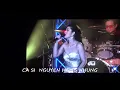 Download Lagu CA SĨ NGUYỄN HỒNG NHUNG - SẮC MÀU -
