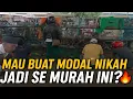 MAU BUAT MODAL NIKAH ‼️JADI SE MURAH INI HARGA BURUNG OMBYOKAN DI PASAR PRAMUKA 