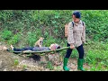 Download Lagu Single Mom vs Thieves: Smart dog leads the way to rescue people trapped in cave