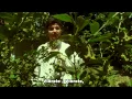 Download Lagu Ansamblul \