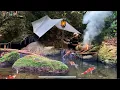 Download Lagu Camping Bermalam Di Hutan Berburu Ikan Di Sungai \u0026 Memasak Tanaman Liar