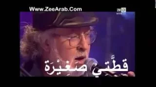 قطتي صغيرة   دندنها