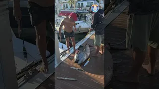 Tuna 130