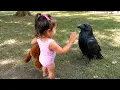 A Sweet Moment With Crow Cutest Crow s