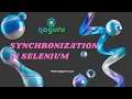 20 Synchronization in Selenium