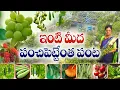 Lagu ఒక్క మిద్దెతోట - ఆ పంటతో అనేక ఇళ్లలో వంట | Home Gardening | Jayalakshmi