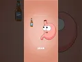 Why Beer Drinkers Always Get a Big Belly