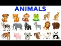 Animals Animal names Animal names in English Learn Animals Wild Animals Domestic Animals
