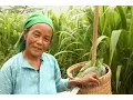 Download Lagu Wandelen in Vietnam | SNP Natuurreizen