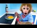 Download Lagu Monyet BonBon Lucu,Ayam Warna Warni,Ayam rainbow,Ayam Pelangi, Bebek,kucing,Kelinci,Dunia Hewan Lucu